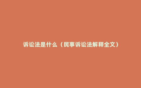 诉讼法是什么（民事诉讼法解释全文）