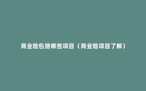 商业险包括哪些项目（商业险项目了解）