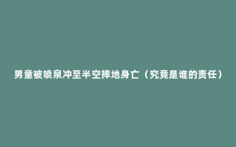 男童被喷泉冲至半空摔地身亡（究竟是谁的责任）