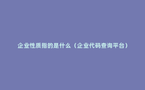 企业性质指的是什么（企业代码查询平台）