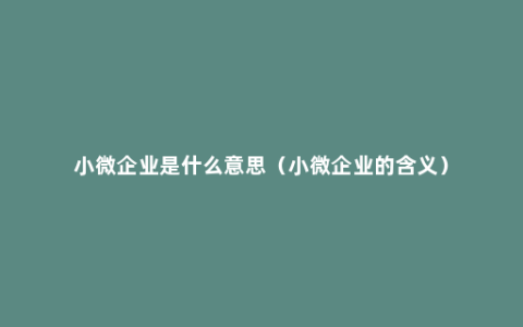 小微企业是什么意思（小微企业的含义）