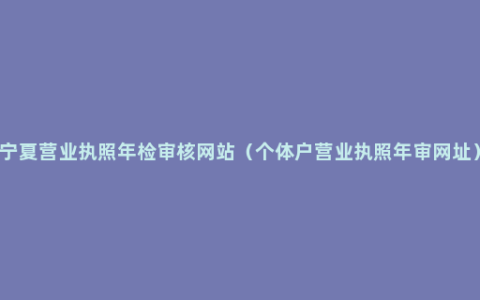 宁夏营业执照年检审核网站（个体户营业执照年审网址）