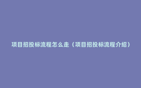 项目招投标流程怎么走（项目招投标流程介绍）