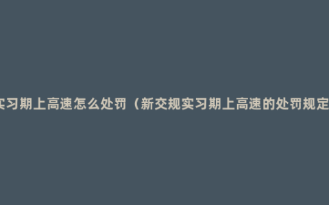 实习期上高速怎么处罚（新交规实习期上高速的处罚规定）