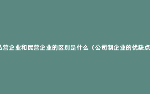 私营企业和民营企业的区别是什么（公司制企业的优缺点）