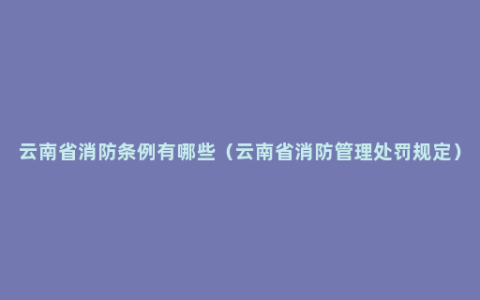 云南省消防条例有哪些（云南省消防管理处罚规定）