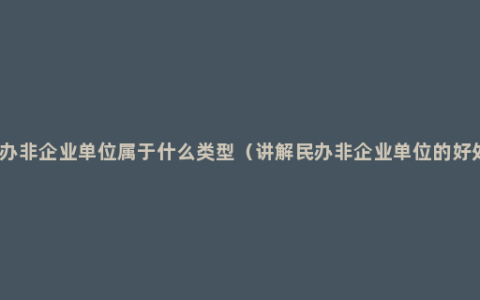 民办非企业单位属于什么类型（讲解民办非企业单位的好处）