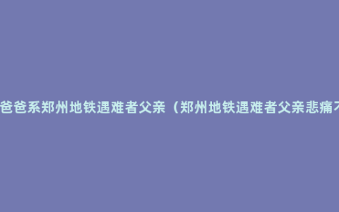 雨衣爸爸系郑州地铁遇难者父亲（郑州地铁遇难者父亲悲痛不已）