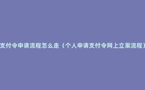 支付令申请流程怎么走（个人申请支付令网上立案流程）