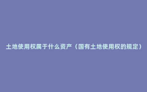 土地使用权属于什么资产（国有土地使用权的规定）