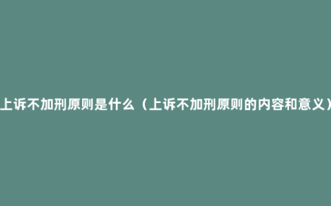 上诉不加刑原则是什么（上诉不加刑原则的内容和意义）