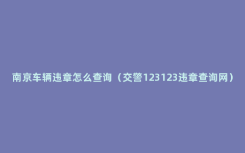 南京车辆违章怎么查询（交警123123违章查询网）