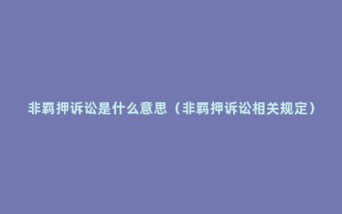 非羁押诉讼是什么意思（非羁押诉讼相关规定）