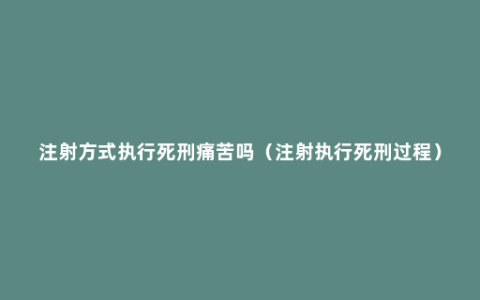 注射方式执行死刑痛苦吗（注射执行死刑过程）