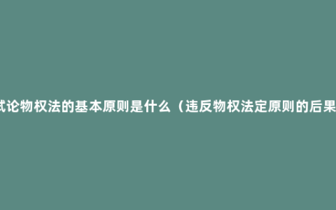 试论物权法的基本原则是什么（违反物权法定原则的后果）