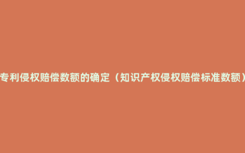 专利侵权赔偿数额的确定（知识产权侵权赔偿标准数额）