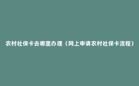 农村社保卡去哪里办理（网上申请农村社保卡流程）