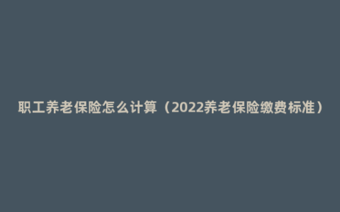 职工养老保险怎么计算（2022养老保险缴费标准）