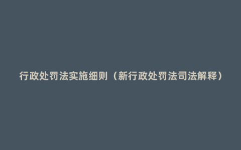 行政处罚法实施细则（新行政处罚法司法解释）