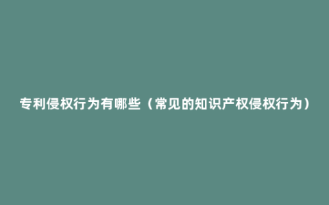 专利侵权行为有哪些（常见的知识产权侵权行为）