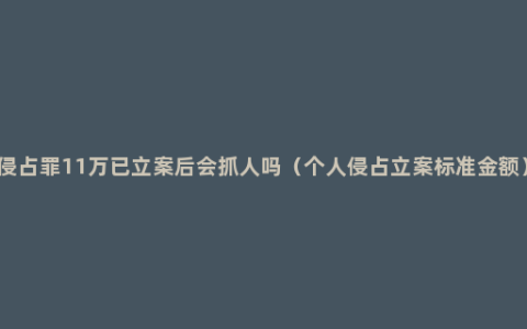 侵占罪11万已立案后会抓人吗（个人侵占立案标准金额）