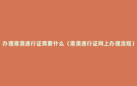 办理港澳通行证需要什么（港澳通行证网上办理流程）