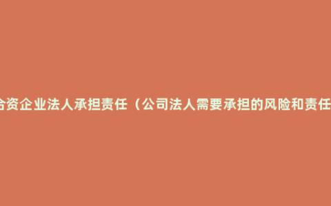 合资企业法人承担责任（公司法人需要承担的风险和责任）