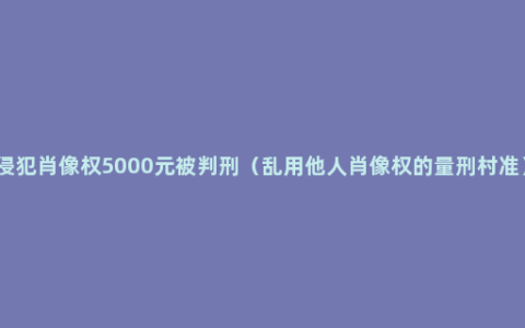 侵犯肖像权5000元被判刑（乱用他人肖像权的量刑村准）