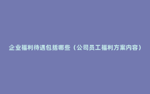 企业福利待遇包括哪些（公司员工福利方案内容）