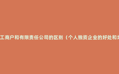 个体工商户和有限责任公司的区别（个人独资企业的好处和坏处）