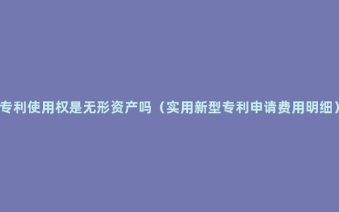 专利使用权是无形资产吗（实用新型专利申请费用明细）