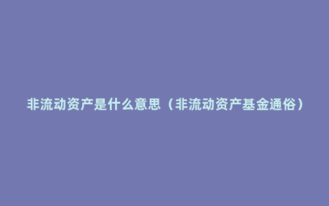 非流动资产是什么意思（非流动资产基金通俗）