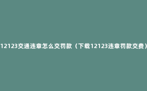 12123交通违章怎么交罚款（下载12123违章罚款交费）