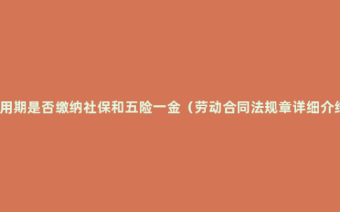 试用期是否缴纳社保和五险一金（劳动合同法规章详细介绍）