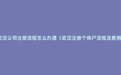 武汉公司注册流程怎么办理（武汉注册个体户流程及费用）