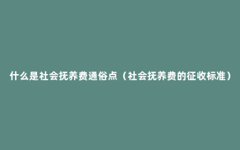 什么是社会抚养费通俗点（社会抚养费的征收标准）