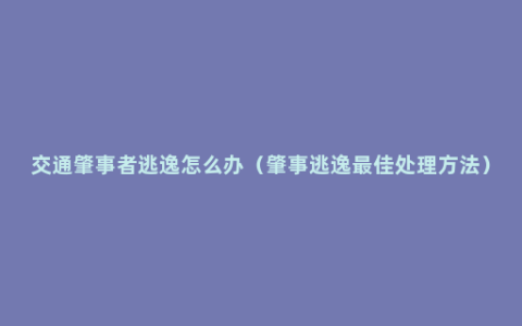 交通肇事者逃逸怎么办（肇事逃逸最佳处理方法）