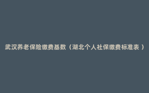 武汉养老保险缴费基数（湖北个人社保缴费标准表 ）