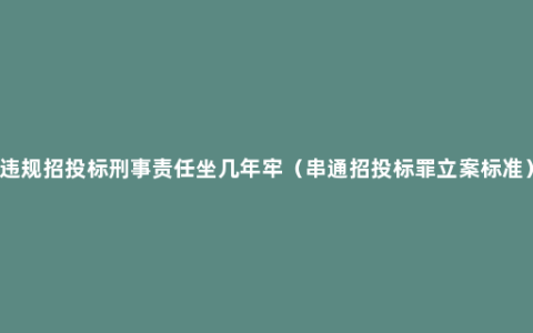 违规招投标刑事责任坐几年牢（串通招投标罪立案标准）