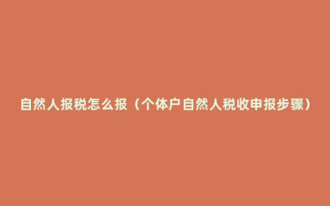 自然人报税怎么报（个体户自然人税收申报步骤）