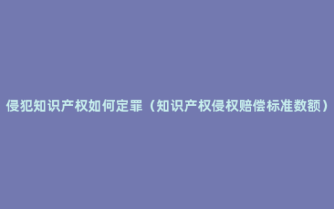 侵犯知识产权如何定罪（知识产权侵权赔偿标准数额）