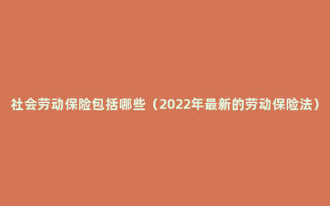 社会劳动保险包括哪些（2022年最新的劳动保险法）