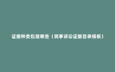 证据种类包括哪些（民事诉讼证据目录模板）