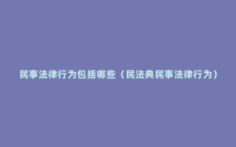 民事法律行为包括哪些（民法典民事法律行为）