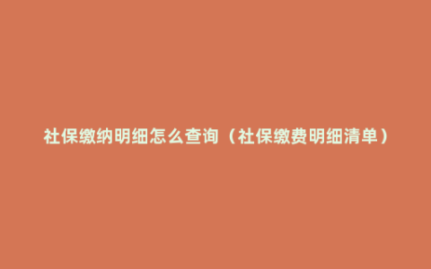 社保缴纳明细怎么查询（社保缴费明细清单）