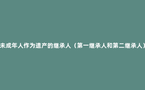 未成年人作为遗产的继承人（第一继承人和第二继承人）