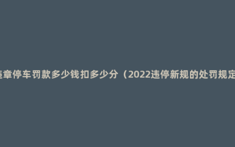 违章停车罚款多少钱扣多少分（2022违停新规的处罚规定）