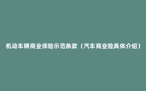 机动车辆商业保险示范条款（汽车商业险具体介绍）