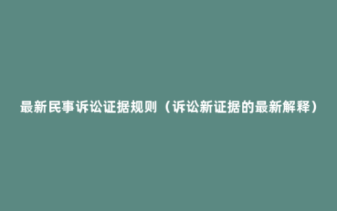 最新民事诉讼证据规则（诉讼新证据的最新解释）