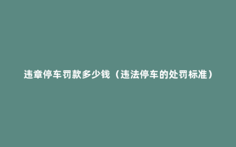 违章停车罚款多少钱（违法停车的处罚标准）